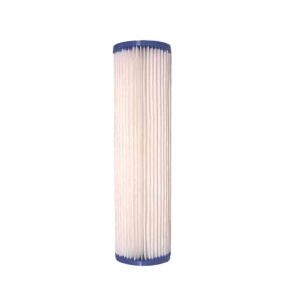 CARTUCHO POLIES.PLISADO 9 3/4"20MIC
