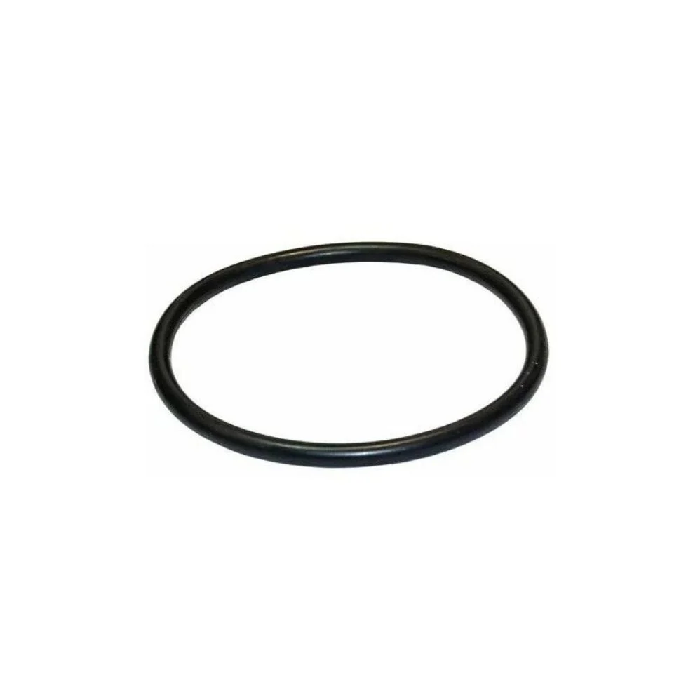 JUNTA ZUNCHO FILTRO MONOBLOCS 65431041080