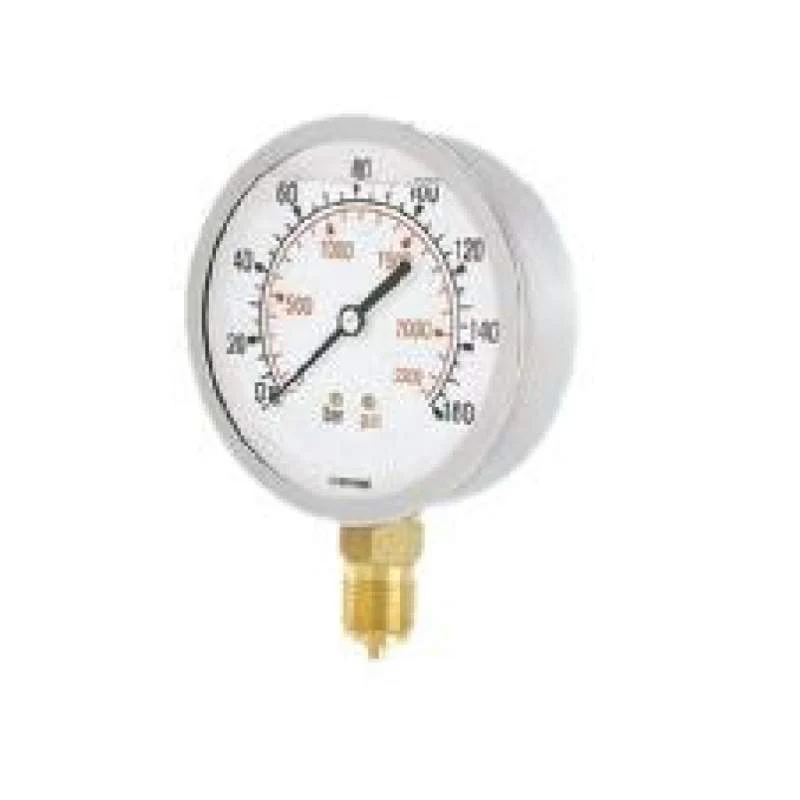 MANOMETRO GLICERINA RADIAL D63 1R6325