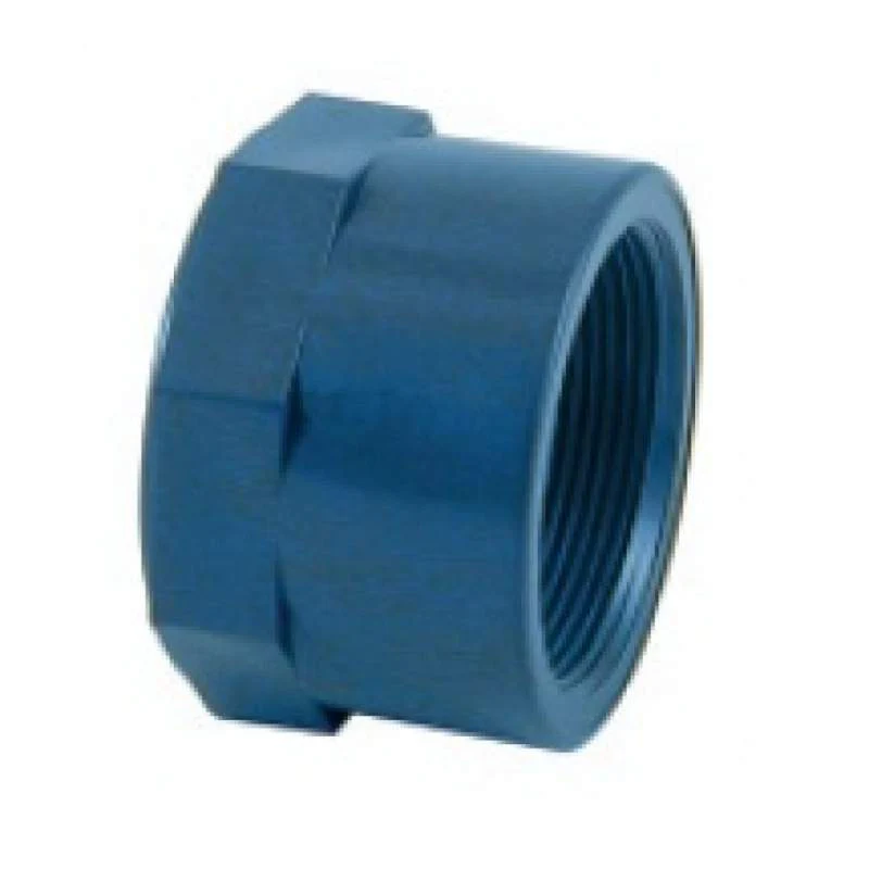 TAPON HEMBRA ROSCADO PVC 2" 01963
