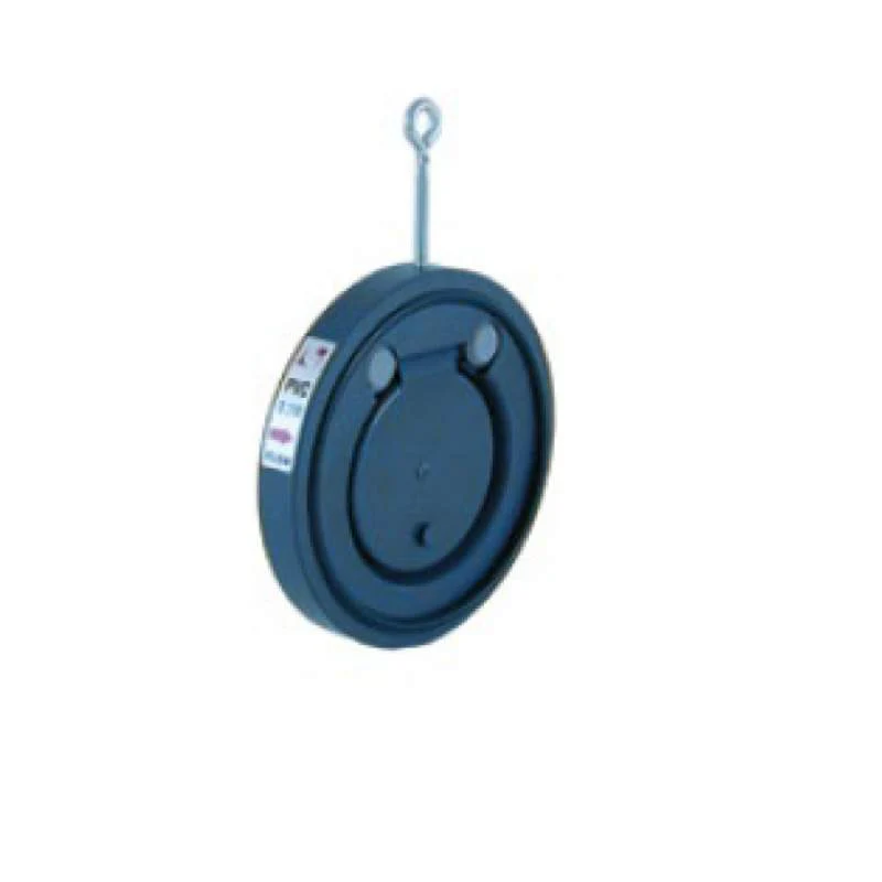 VALVULA DE CLAPETA EN PVC 75 08984